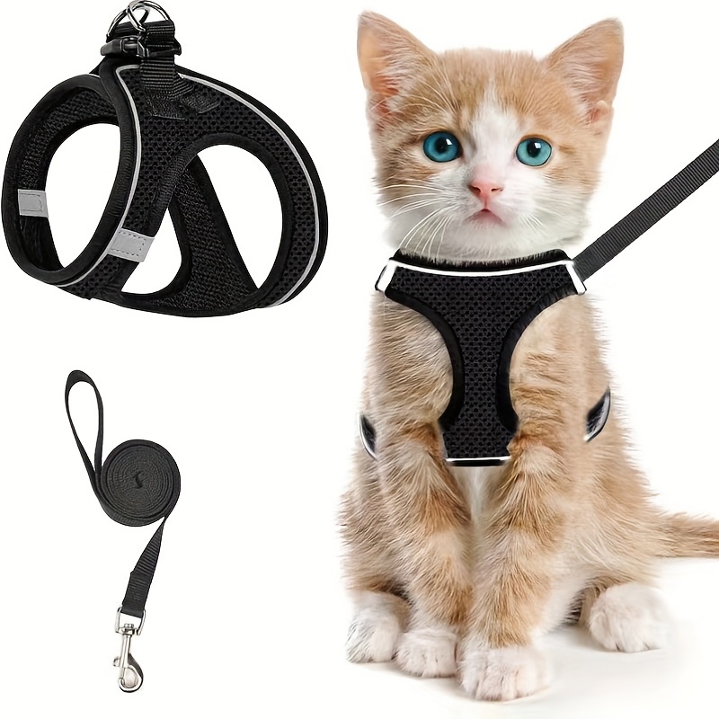 Outdoor Adventure Kit - Ensemble harnais et laisse anti-fuite pour