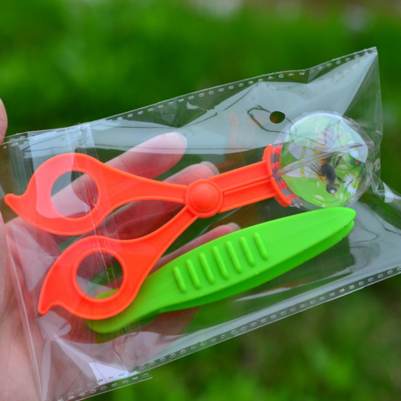Pince à insectes, ciseaux, pin - Outdoor Adventure Usa avis et prix