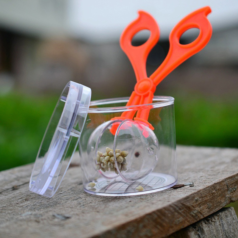 Pince à insectes, ciseaux, pin - Outdoor Adventure Usa avis et prix